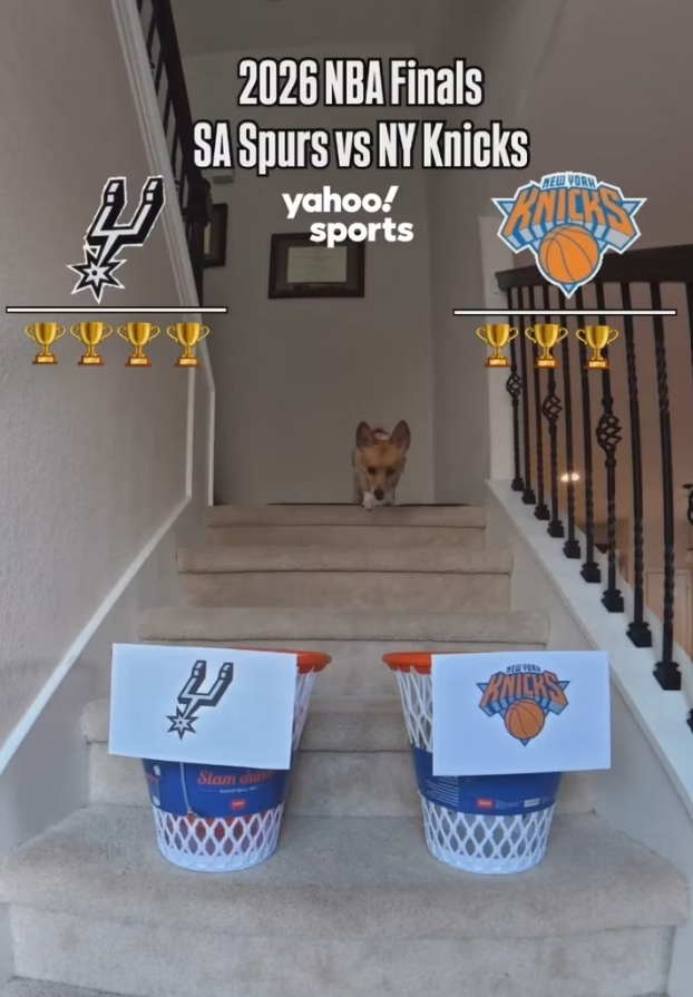 Air Corgi.png Air Corgi.png