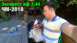 Экспресс Кф 3,44. Бразилия - Швейцария. Германия - Мексика. ЧМ-2018