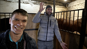 100 000 на РЕАЛ МАДРИД - АЯКС | СТРАТЕГИЯ СТАВОК НА ЛОШАДЕЙ